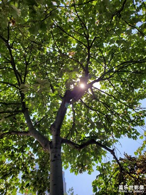 【時(shí)光印象】初秋午后