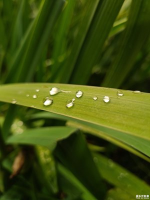 【時(shí)光印象】+雨后
