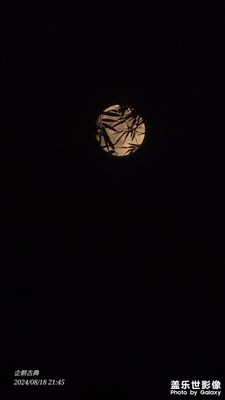 【時(shí)光印象】8月的月亮