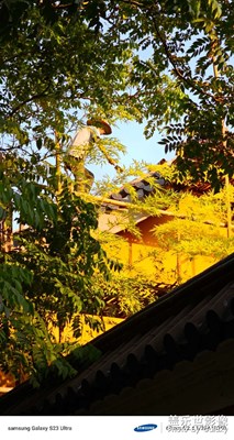 【時光印象】清晨古剎