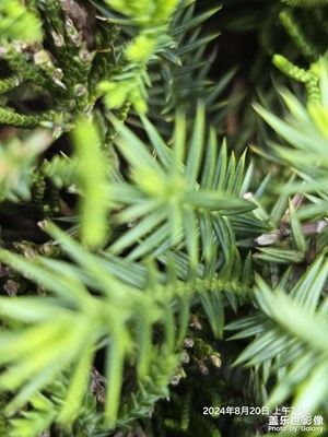 努力向上的人一定很幸運(yùn)