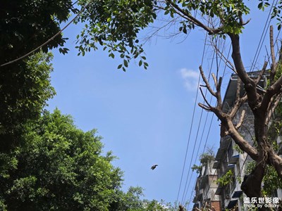 【時光印象】+沿途景色