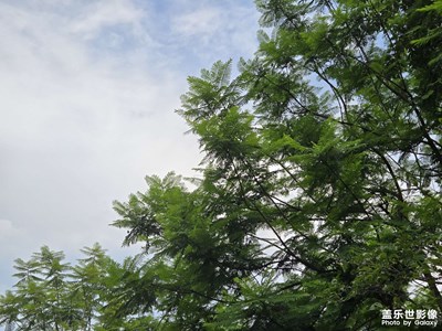 【時光印象】+綠意盎然