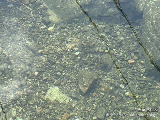 【夏日限定】游山玩水