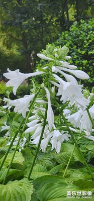 【隨處精彩】+公園隨拍