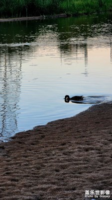 麒麟灣公園傍晚景色