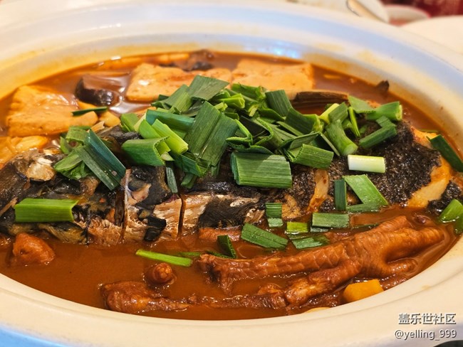 上海星部落8月18日蓋樂世社區(qū)九周年慶活動回顧帖