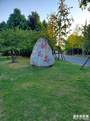 【隨處精彩】+桃花島