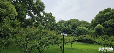 每日一圖