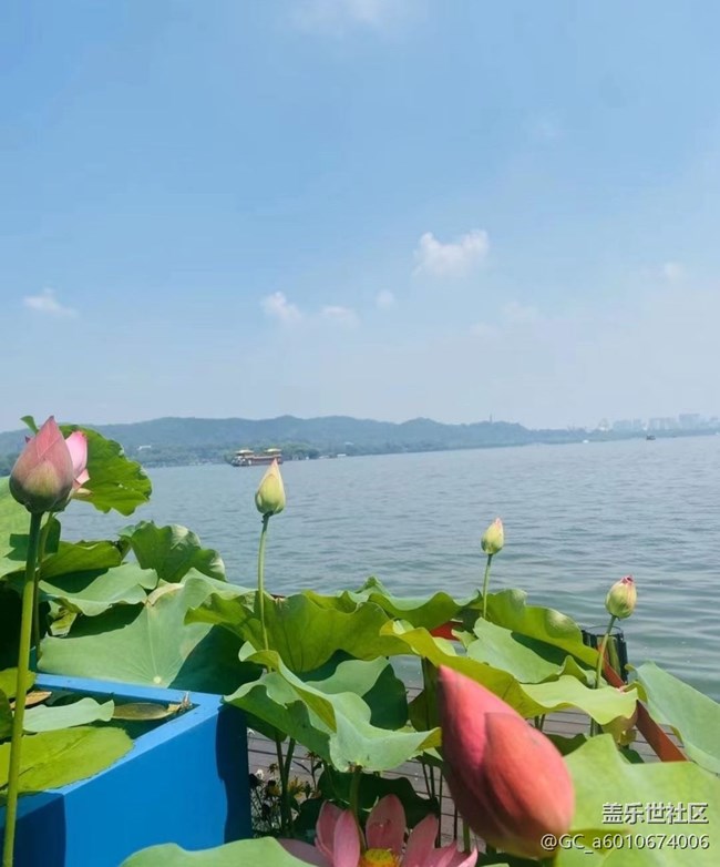 【夏日限定】風(fēng)光秀麗