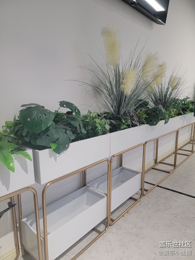 三星凝時攝影動回顧貼