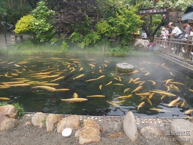 【尋秋】好想變成一條魚