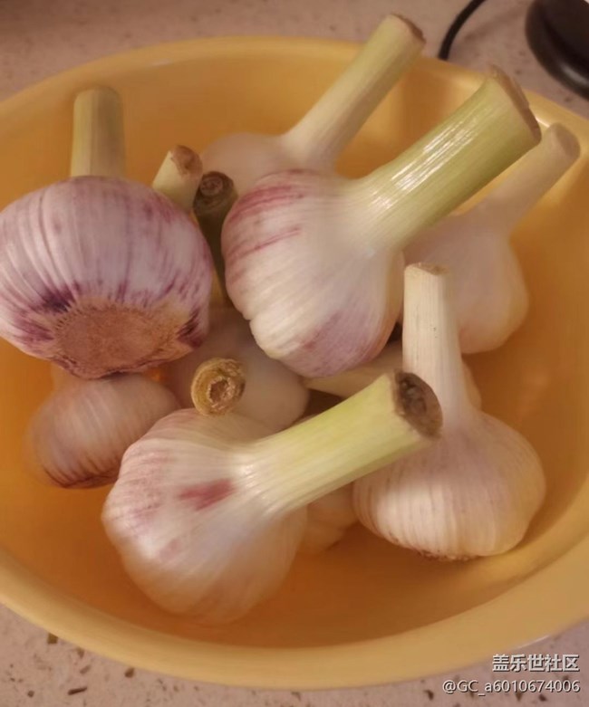 【秋天食補計劃】腌漬菜