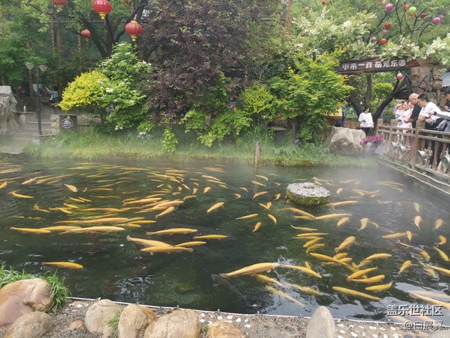 【尋秋】好想變成一條魚