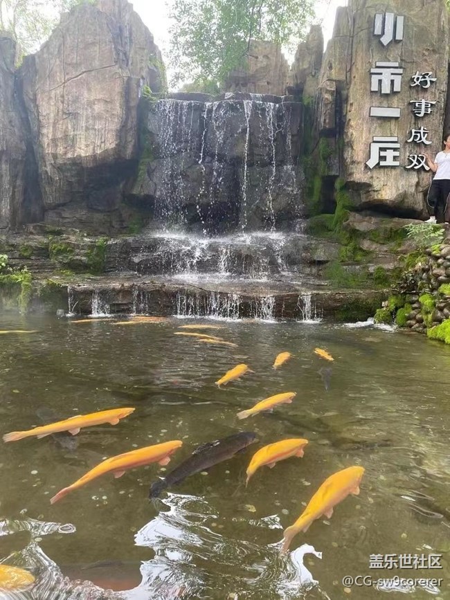 【時間影像】小市一莊