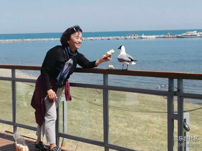 【尋秋】美女伴海鷗