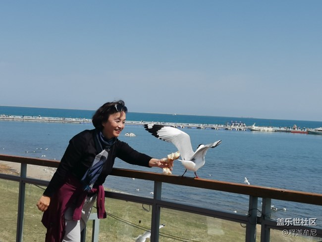 【尋秋】美女伴海鷗