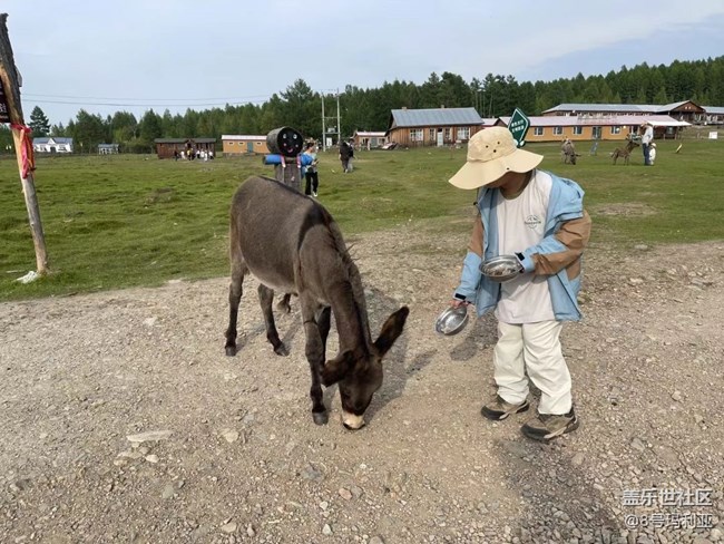 【時(shí)間影像】喂驢