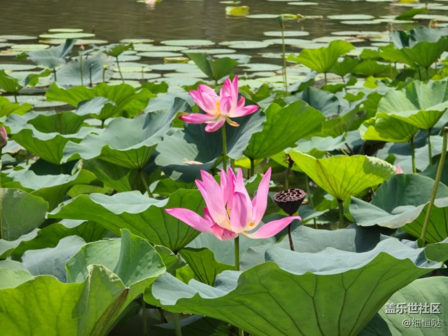 蘇州星部落S24體驗活動暨南方旅游篇