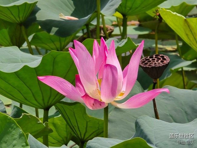 蘇州星部落S24體驗活動暨南方旅游篇