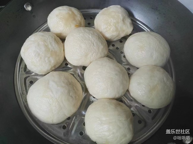 【秋天食補計劃】奶黃包