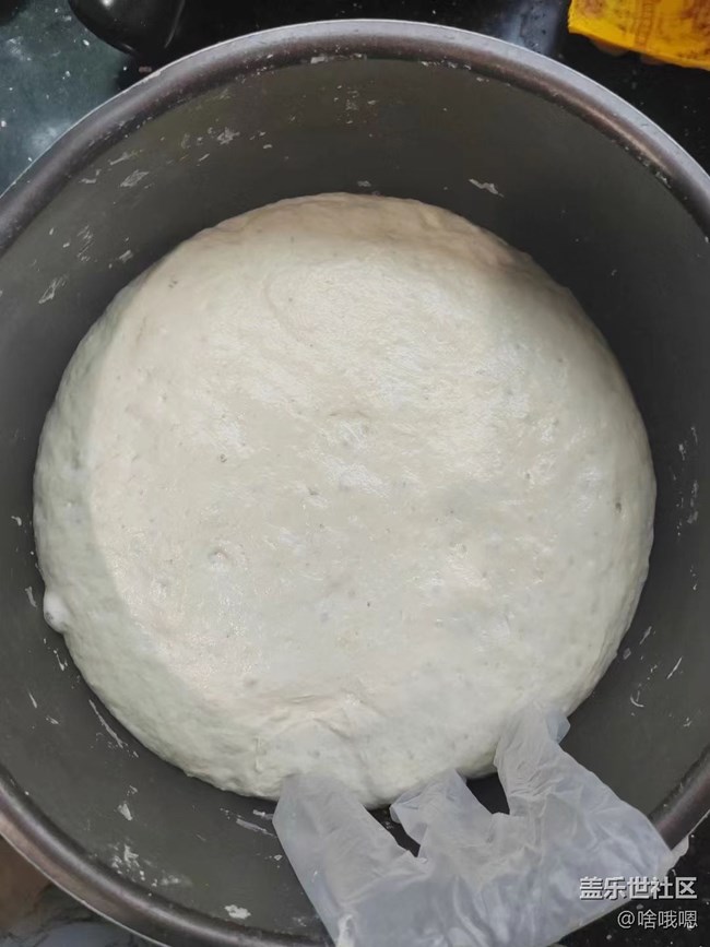 【秋天食補計劃】奶黃包