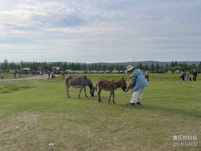 【時(shí)間影像】喂驢