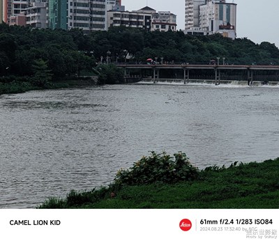 【隨處精彩】瘋狂