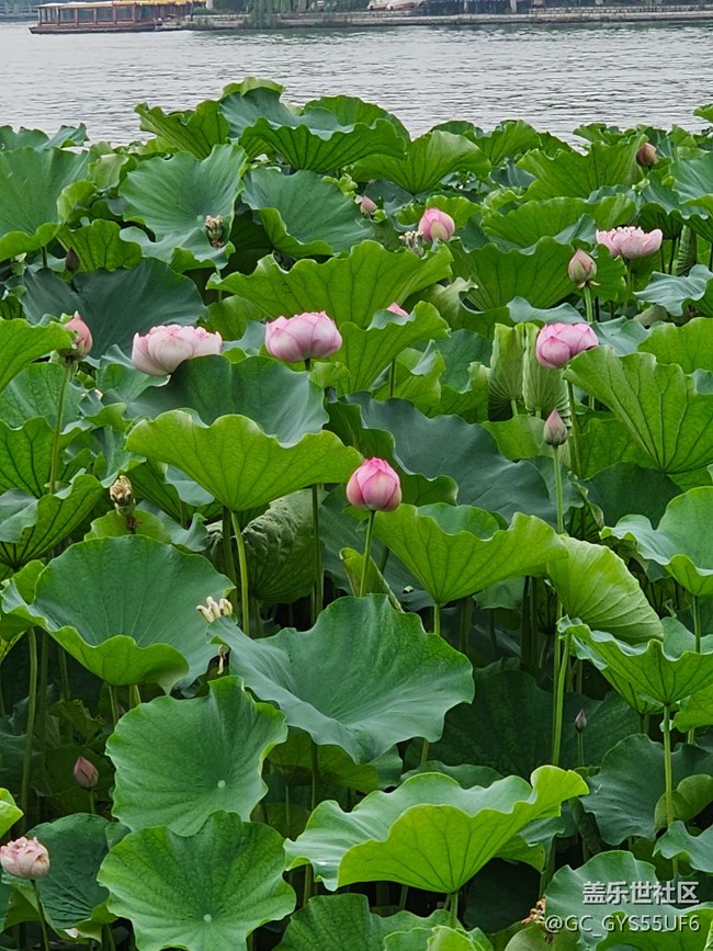 星粉們周末快樂