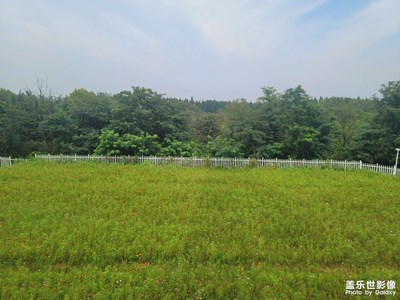 【隨處精彩】旅行路上的風景