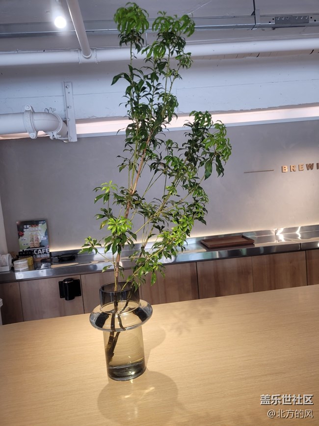 【AI啡來(lái)了】+消除班味這杯咖啡三星請(qǐng)