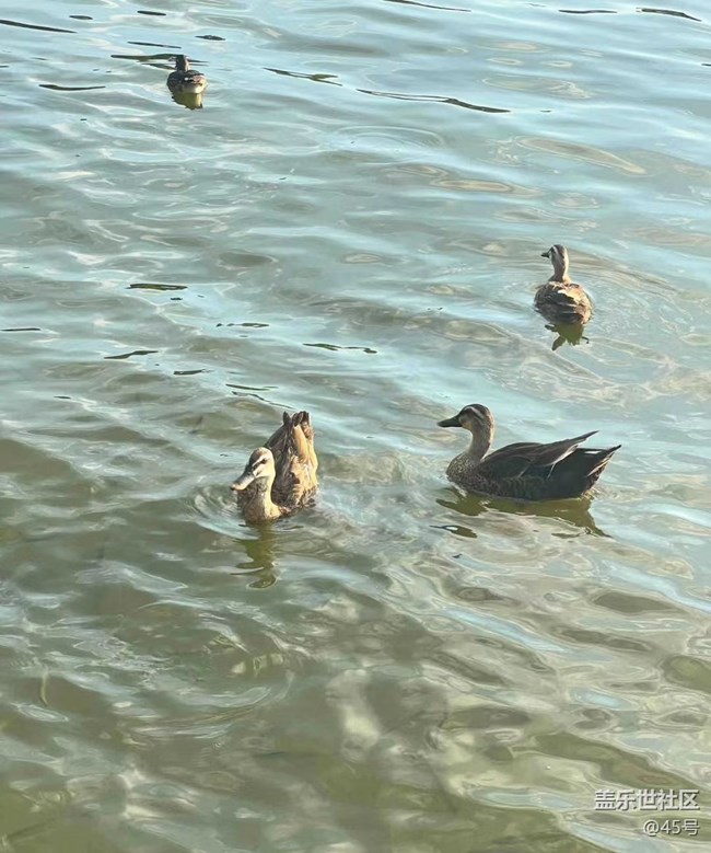 【夏日限定】游杭州