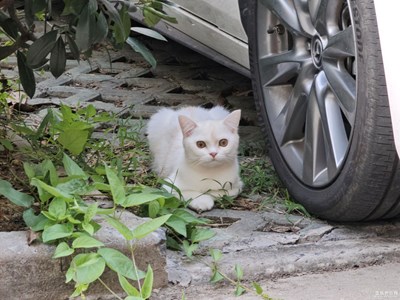 【隨處精彩】+走走拍拍