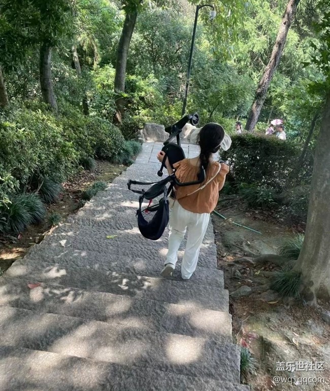 【時間影像】動物園