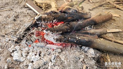 山高自有可行路，水深自有渡船人