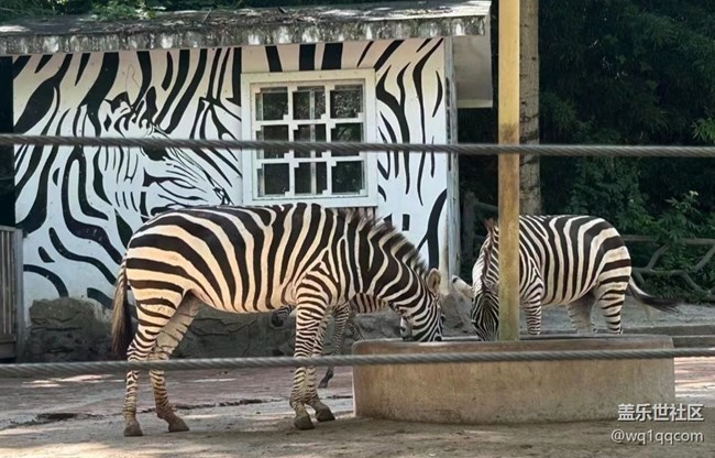 【時間影像】動物園