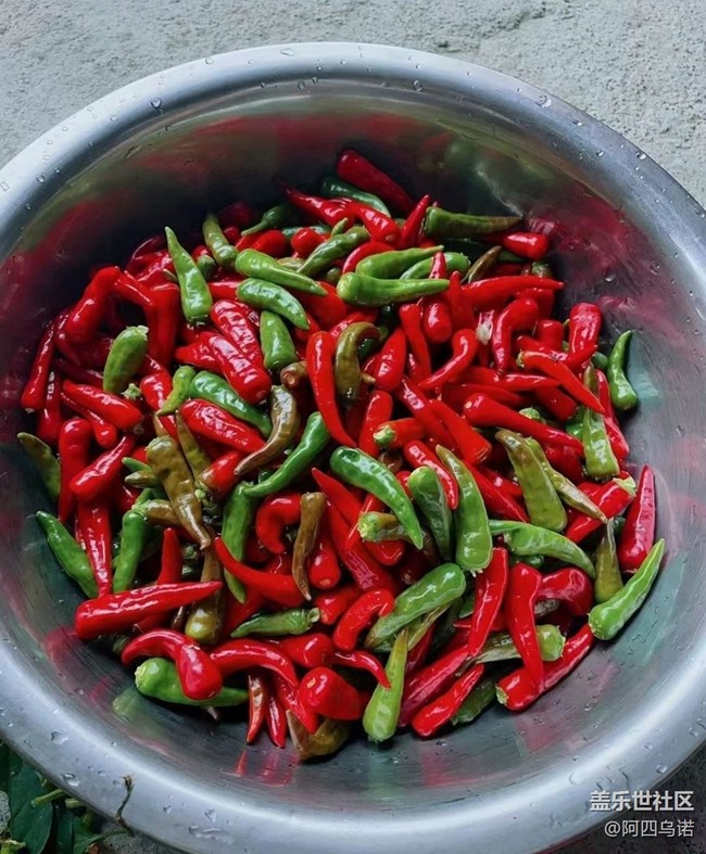 【秋天食補(bǔ)計(jì)劃】制作辣椒醬