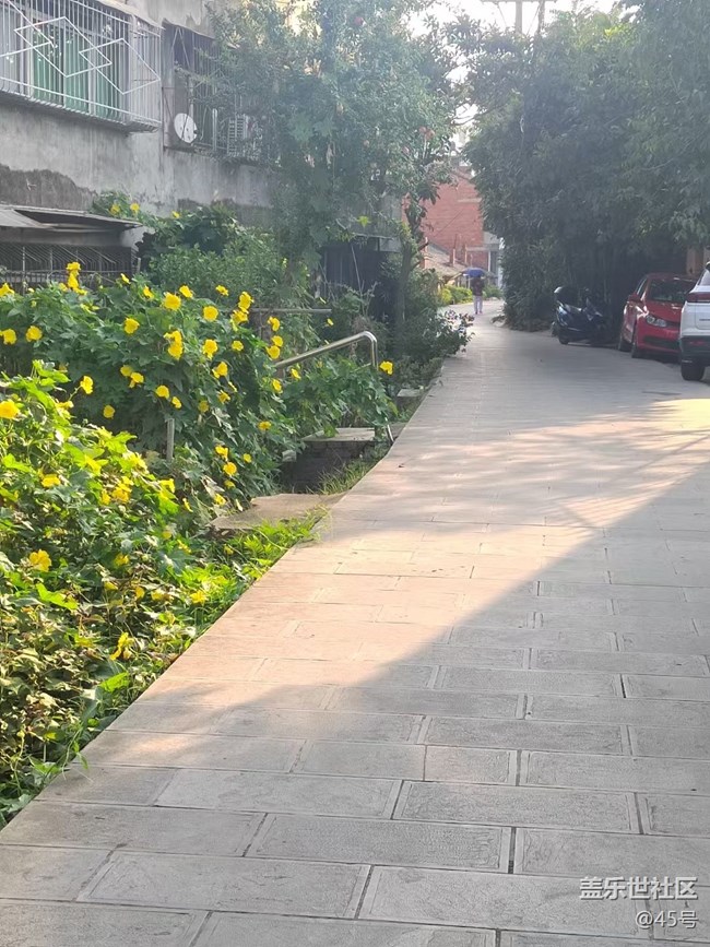 【我家鄉(xiāng)這座小城】老街·印象