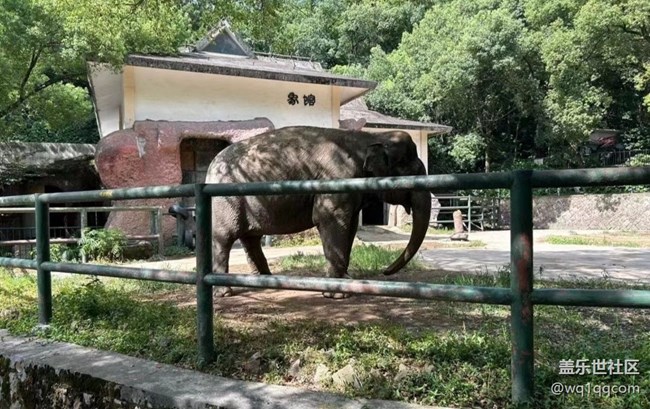 【時間影像】動物園
