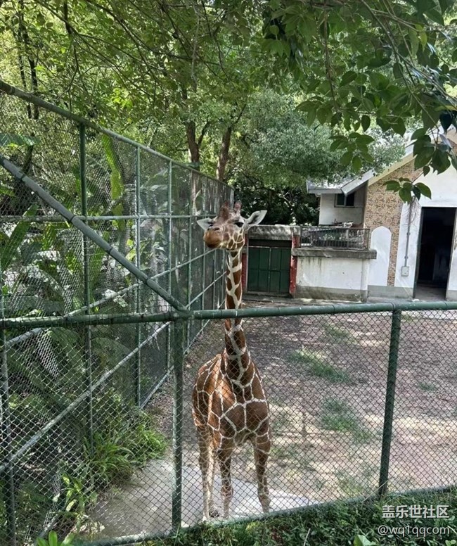 【時間影像】動物園