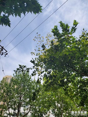 【隨處精彩】驕陽