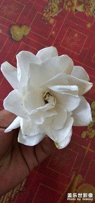 每日一圖