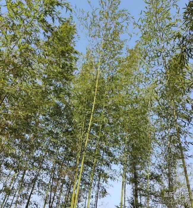 【我家鄉(xiāng)這座小城】故土鄉(xiāng)下