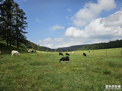 【隨處精彩】+仙境之旅，地心探秘