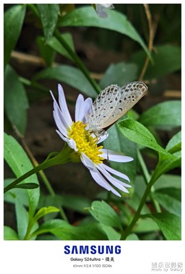 S24ultra隨拍幾張