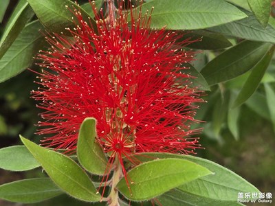 【隨處精彩】+隨處風(fēng)景