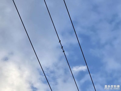 【隨處精彩】+麻雀