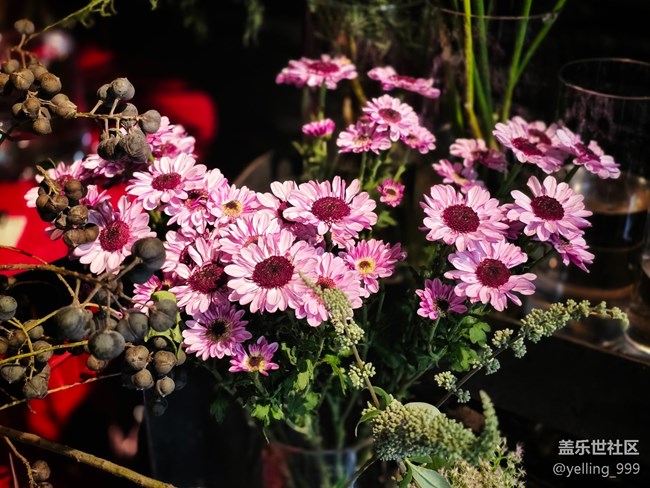 【AI啡來了】+上海星部落8月24日線下打卡活動回顧帖