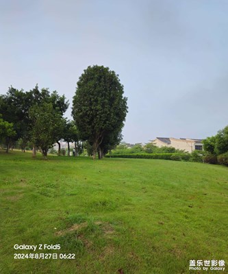 【隨拍分享】鳥語花香寧靜祥和