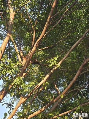 【隨處精彩】+耀眼陽光